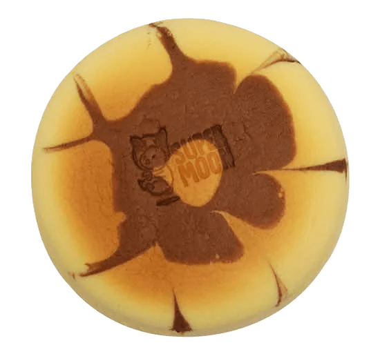 Chocolate marble cheesecake